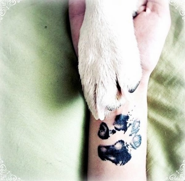 Inspirational tatouages ​​et dessins de petits animaux pour les amoureux des animaux - (75)