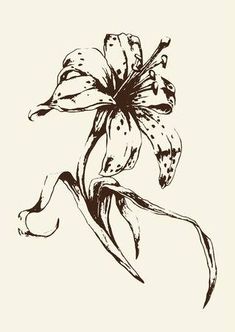 Joli motif pour tatouage, la fameuse fleur de Lys
