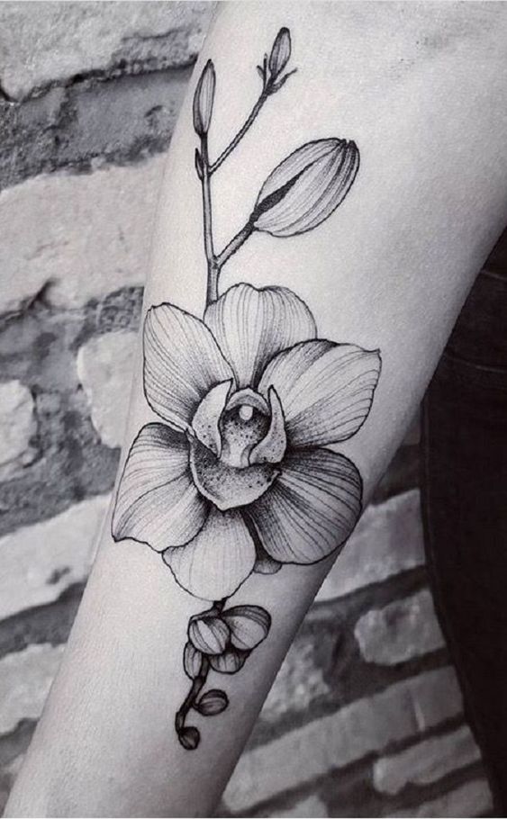 tatouage orchidée très beau