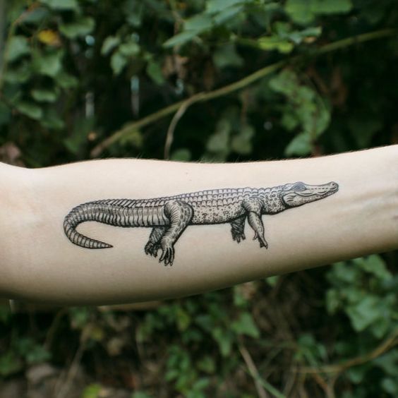 Magnifique tatouage crocodile
