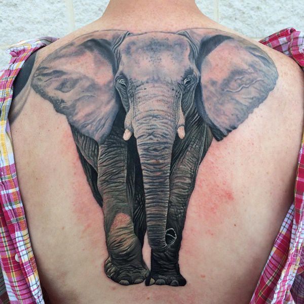 18200916-tatouages-éléphants