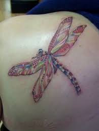 Signification de tatouage d'insecte 11