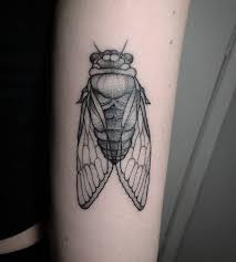 Signification de tatouage d'insecte 20