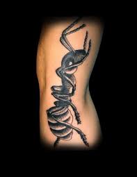 Signification de tatouage d'insectes 22
