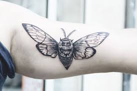 Signification de tatouage d'insectes 32