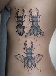 Signification de tatouage d'insectes 40
