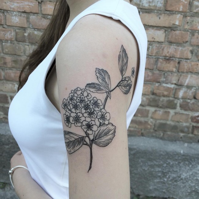 tatouages de flore