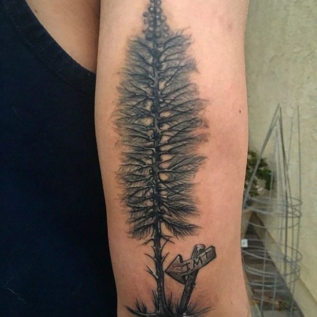 tatouages de pin