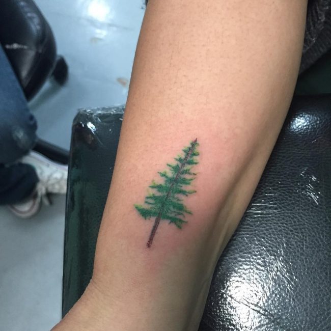 tatouages de pin