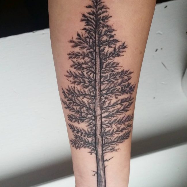 tatouages de pin