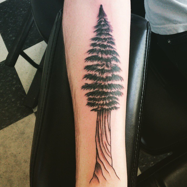 tatouages de pin