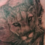 tatouage de lion de montagne