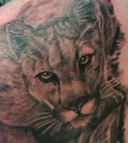 tatouage de lion de montagne
