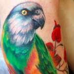 tatouage papapgallo