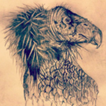 condor-tatouage
